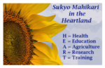 Sukyo Mahikari in the Heartland